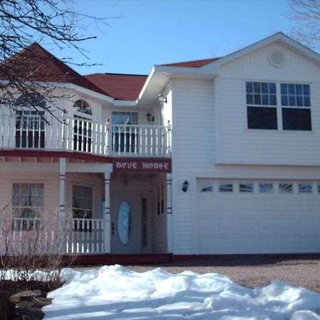 Dove House Bed & Breakfast Harbourside Норт-Сидней Экстерьер фото